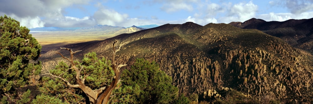 View along the Sugarloaf Mountain Trail Chiricahua National Monument Arizona USA Canvas Art - Panoramic Images (36 x 12)