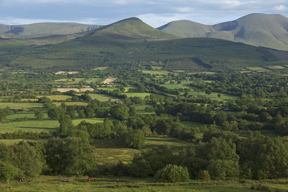 View from Glen of Aherlow towards Galtee Mountains County Tipperary Ireland Canvas Art - Carl Bruemmer Design Pics (38 x 24)