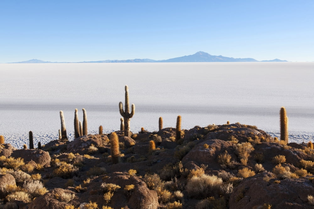 View from Isla del Pescado to Salar de Uyuni Bolivia Canvas Art - Carl Bruemmer Design Pics (19 x 12)