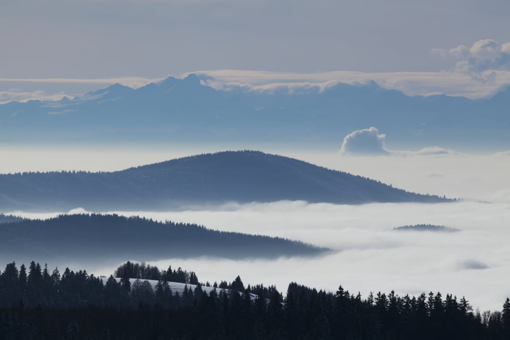 View from Muggenbrunn towards the Swiss Alps Black Forest Germany Canvas Art - Carl Bruemmer Design Pics (38 x 24)