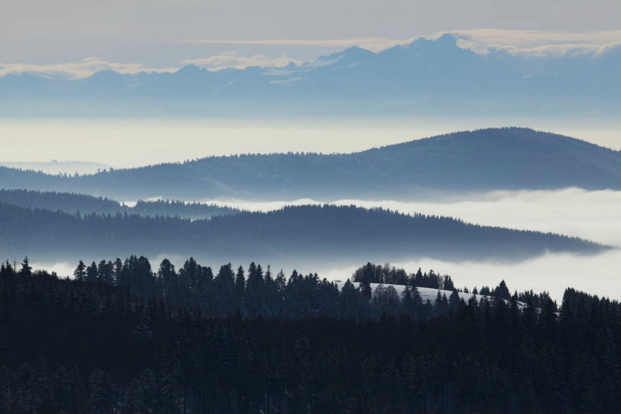 View from Muggenbrunn towards the Swiss Alps Black Forest Germany Canvas Art - Carl Bruemmer Design Pics (38 x 24)