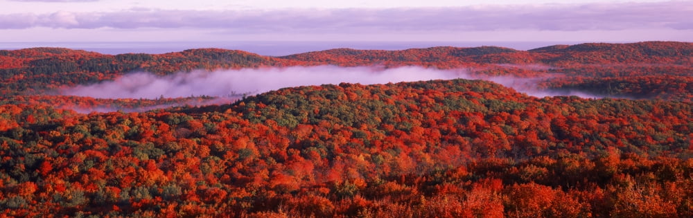 View from Summit Peak Porcupine Mountains Wilderness State Park Upper Peninsula Michigan USA Canvas Art - Panoramic Images (12 x 36)