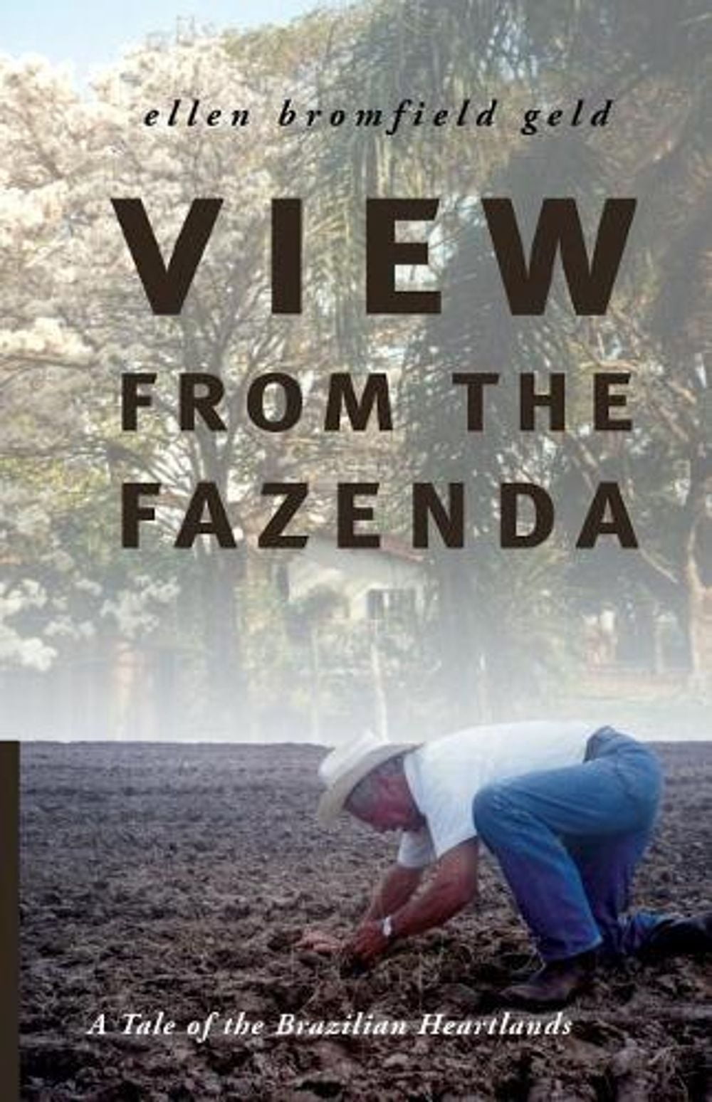 View from the Fazenda : A Tale of the Brazilian Heartlands (Paperback)