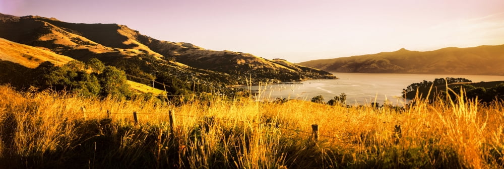 View of Akaroa Harbour Banks Peninsula South Island New Zealand Canvas Art - Panoramic Images (27 x 9)