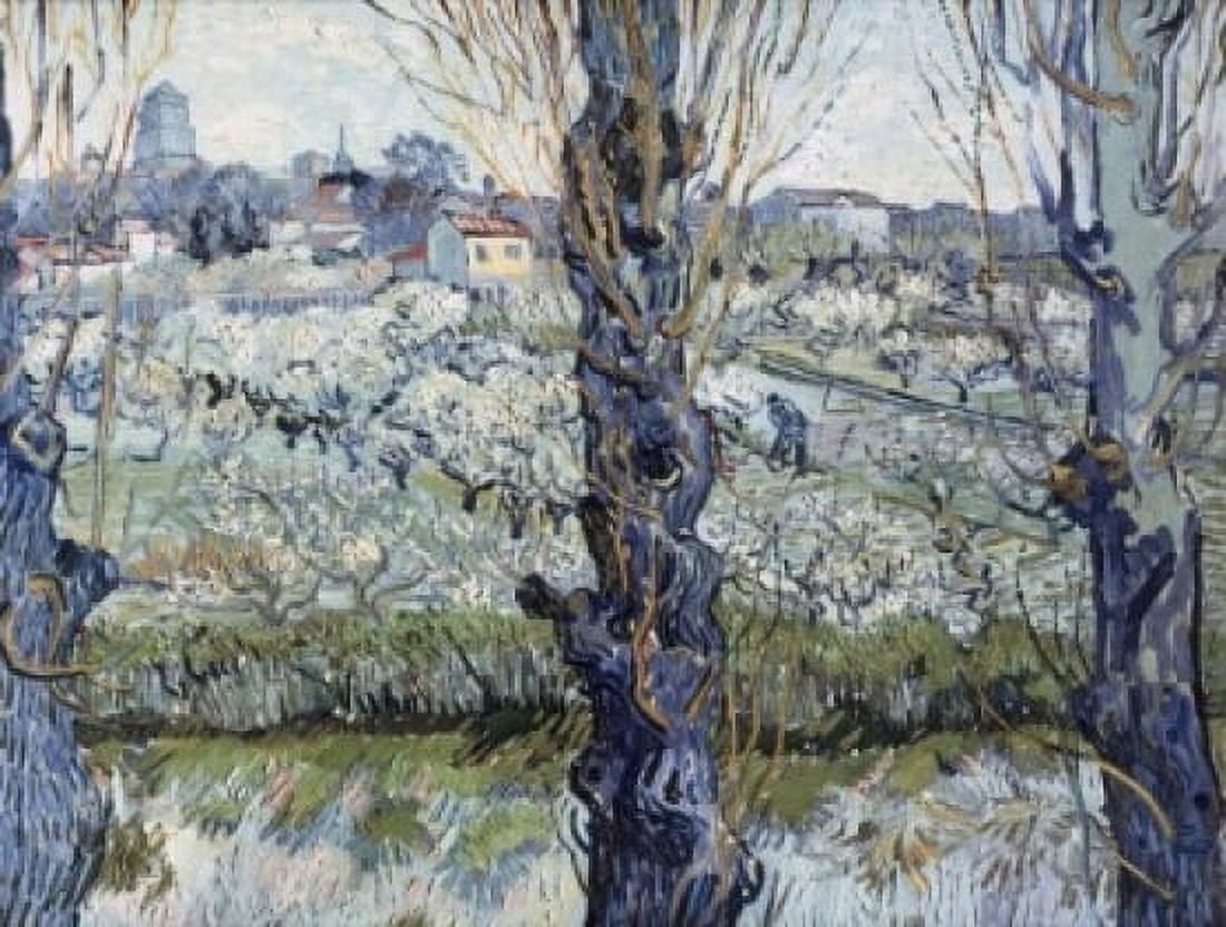 View of Arles 1889 Vincent van Gogh (1853-1890 Dutch) Neue Pinakothek Munich Germany Canvas Art - Vincent van Gogh (24 x 36)