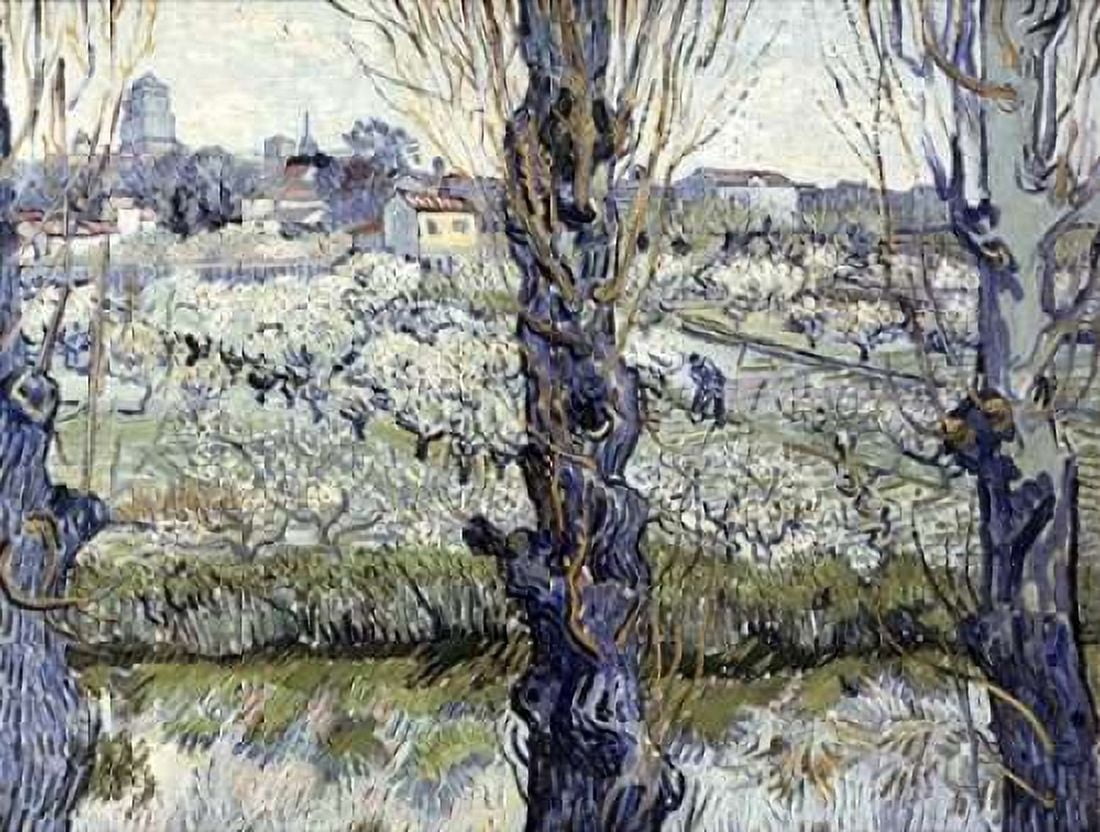 View of Arles Canvas Art - Vincent Van Gogh (22 x 28)