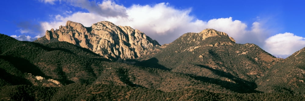 View of Cochise Head Mountain Cochise Cochise County Arizona USA Canvas Art - Panoramic Images (36 x 12)
