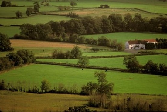 View of Farmlands from Glastonbury Tor Glastonbury Somerset England Canvas Art - Walter Bibikow DanitaDelimont (18 x 12)