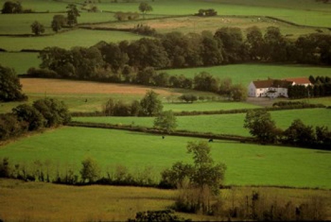 View of Farmlands from Glastonbury Tor Glastonbury Somerset England Canvas Art - Walter Bibikow DanitaDelimont (36 x 24)
