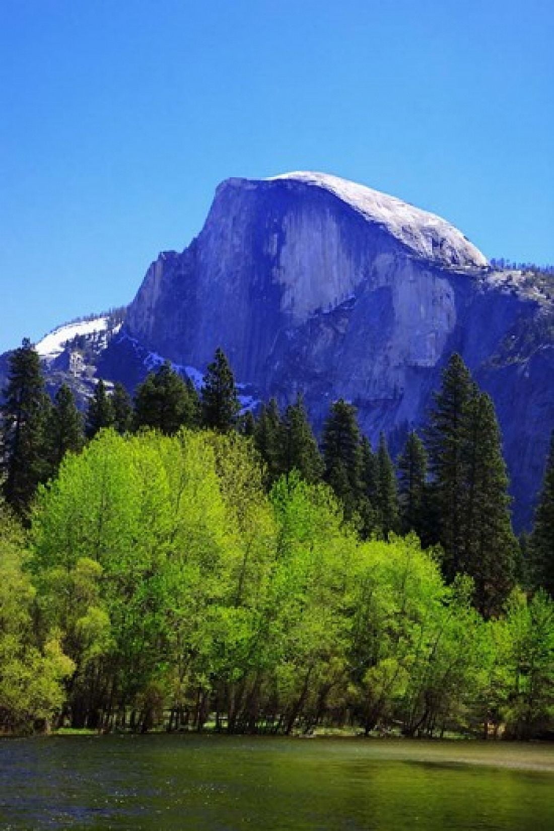 View of Half Dome rock and Merced River Yosemite National Park California Canvas Art - Jaynes Gallery DanitaDelimont (24 x 36)
