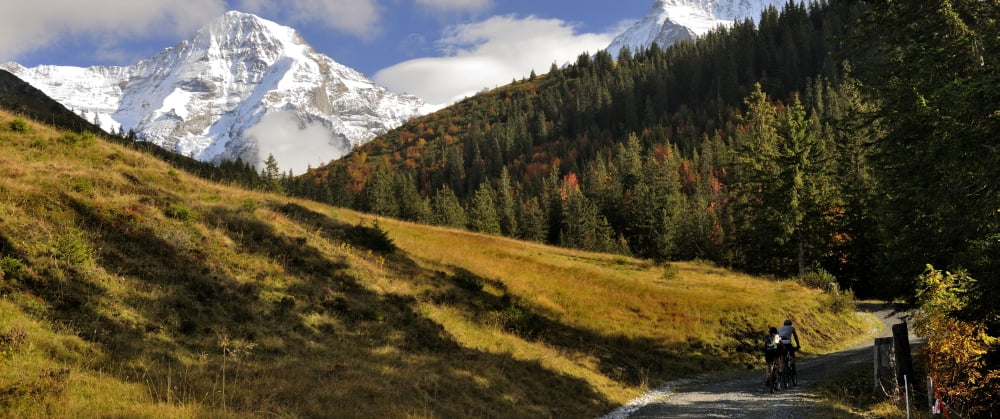 View of Mt Jungfrau and Mt Monch Kleine Scheidegg Bernese Oberland Bern Switzerland Canvas Art - Panoramic Images (36 x 12)