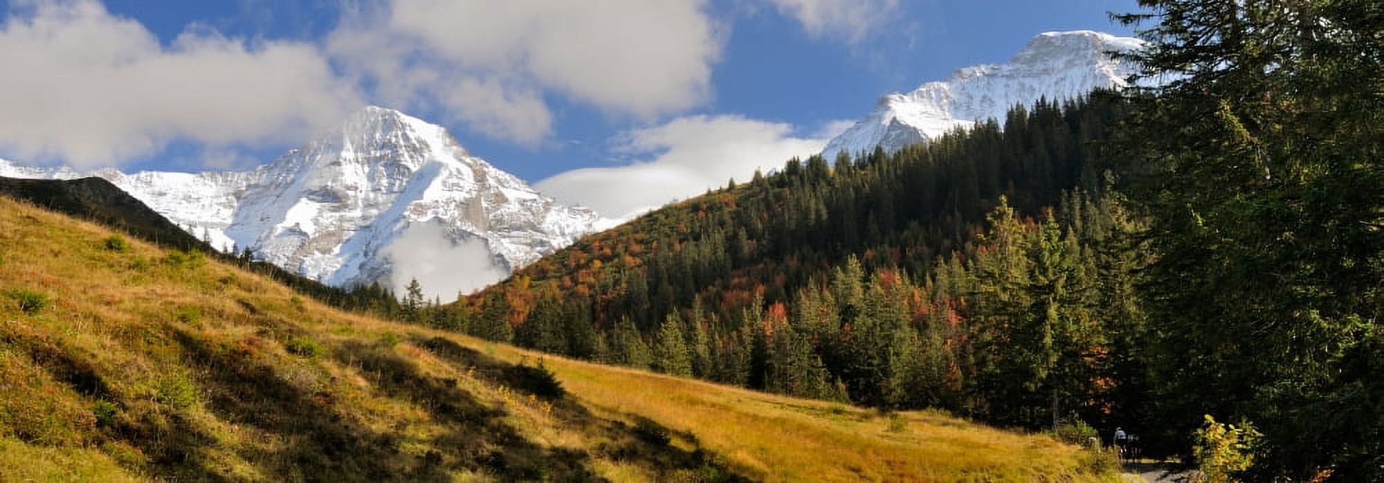 View of Mt Jungfrau and Mt Monch Kleine Scheidegg Bernese Oberland Berne Canton Switzerland Canvas Art - Panoramic Images (9 x 27)