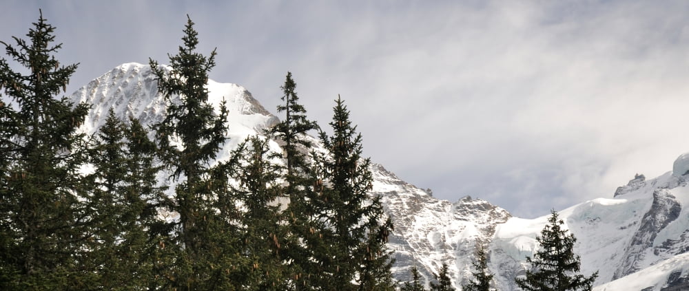 View of Mt Monch and Jungfraujoch Kleine Scheidegg Bernese Oberland Bern Switzerland Canvas Art - Panoramic Images (36 x 12)