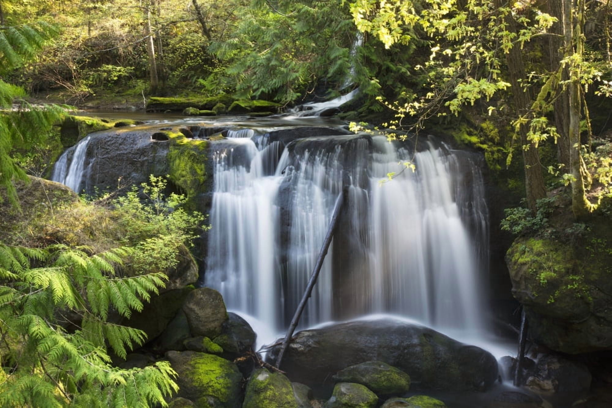 View of Whatcom Falls near Bellingham Washington USA summer Canvas Art - Jenna Szerlag Design Pics (38 x 24)