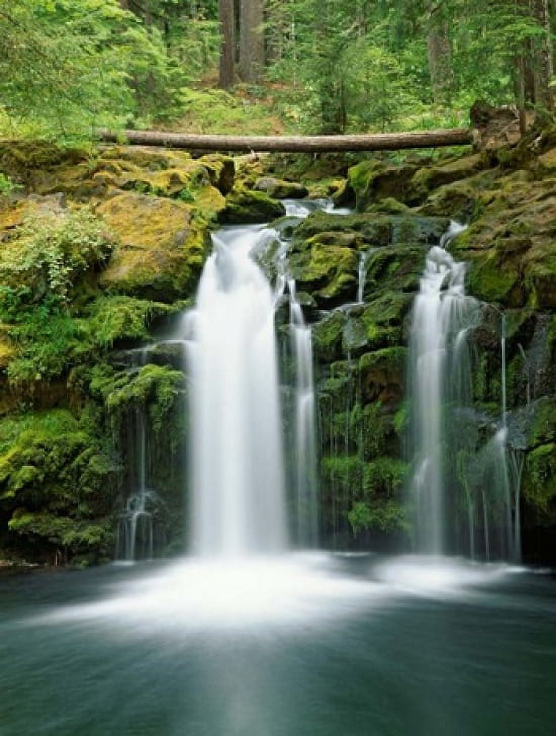 View of Whitehorse Falls Umpqua National Forest Oregon Canvas Art - Jaynes Gallery DanitaDelimont (24 x 36)
