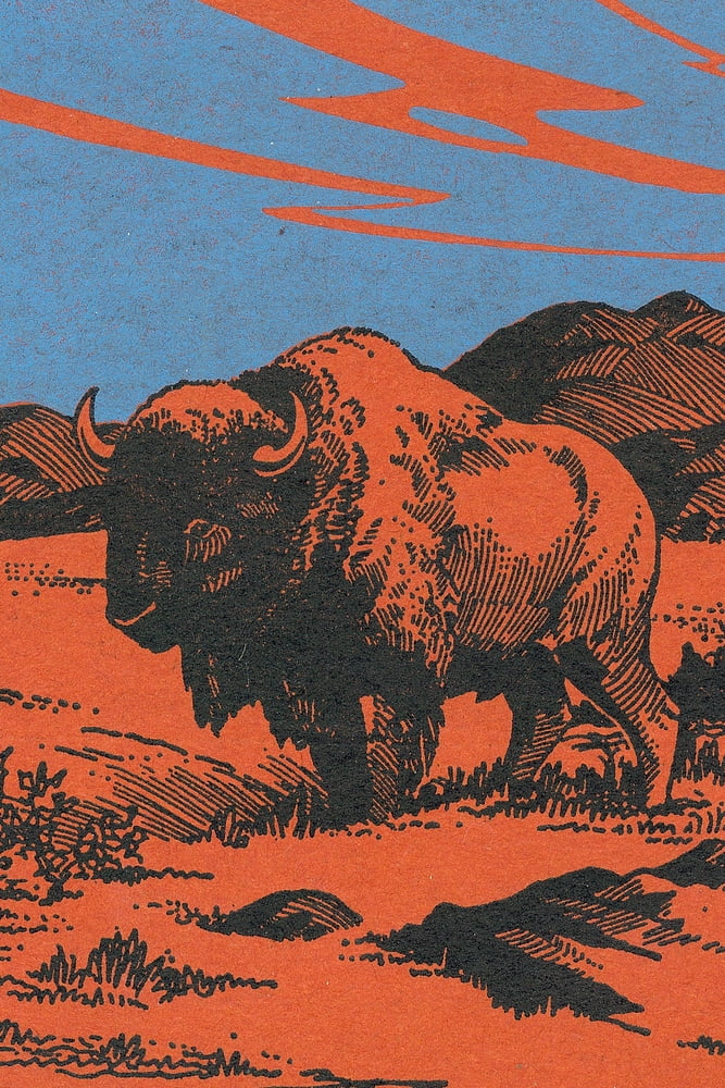 View of a Bison on the Prairie, Vintage Magazine (24x36 Giclee Gallery ...