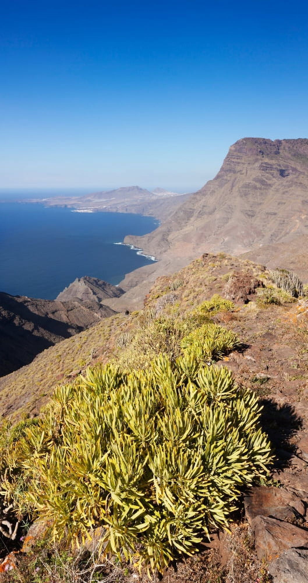 View of a coast Anden Verde Puerto De Las Nieves Roque Faneque Gran Canaria Spain Canvas Art - Panoramic Images (18 x 9)