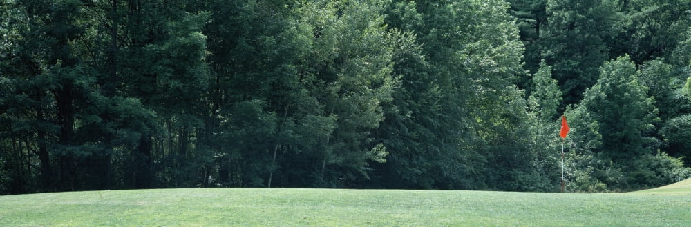 View of a golf course Broome County New York State USA Canvas Art - Panoramic Images (6 x 18)