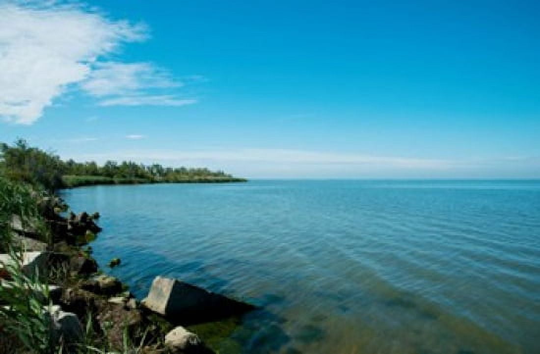 View of a lake Etang de Vaccares Camargue Bouches-Du-Rhone Provence-Alpes-Cote dAzur France Canvas Art - Panoramic Images (36 x 24)