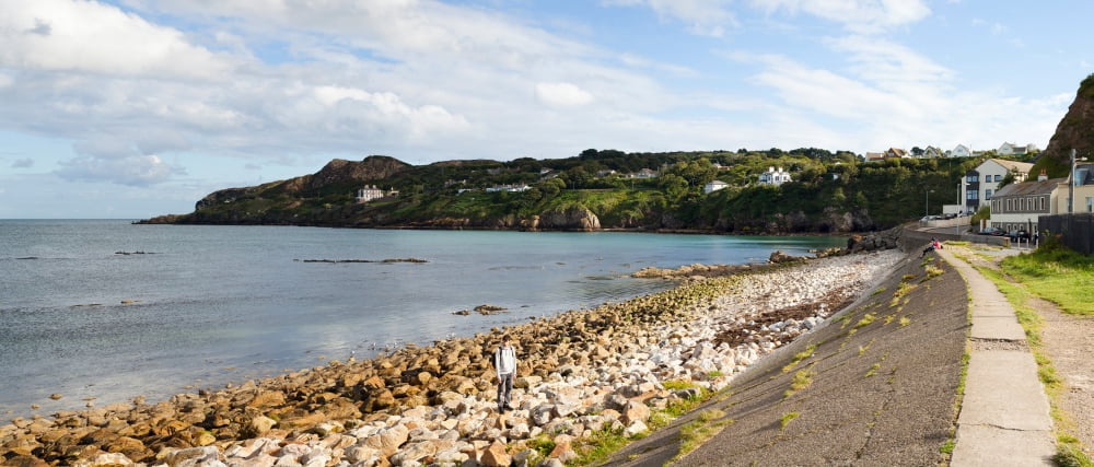 View of a suburb Howth Dublin Bay Dublin Leinster Province Republic of Ireland Canvas Art - Panoramic Images (6 x 15)