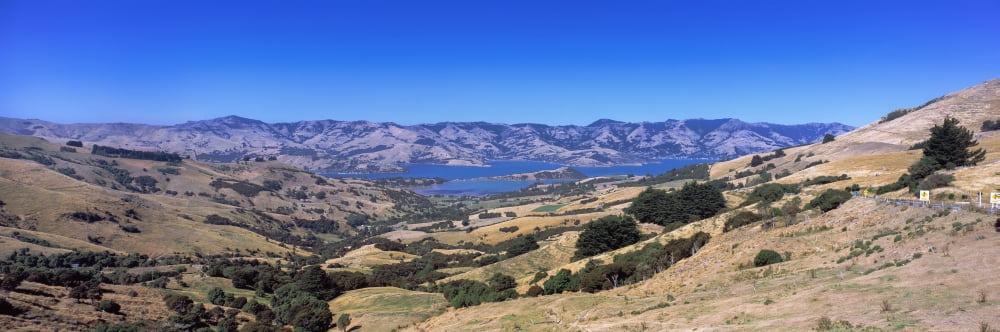 View of a valley Akaroa Harbour Banks Peninsula South Island New Zealand Canvas Art - Panoramic Images (36 x 12)