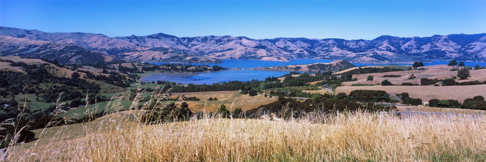 View of a valley Akaroa Harbour Banks Peninsula South Island New Zealand Canvas Art - Panoramic Images (36 x 12)