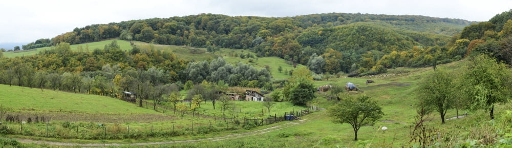 View of a village Bradu Arges County Romania Canvas Art - Panoramic Images (27 x 9)