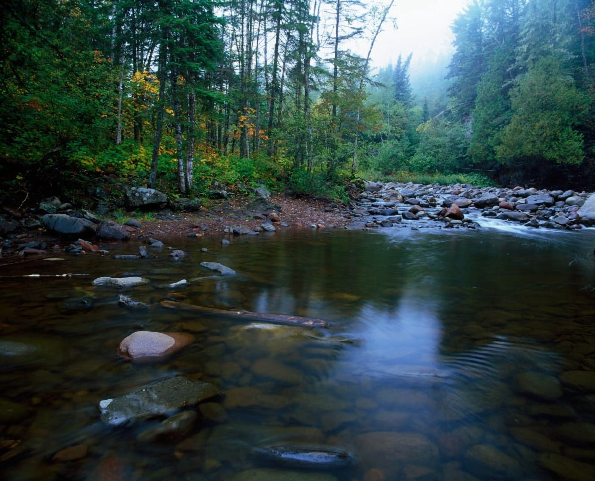 View of rocky Cascade River winding through forest Cascade River State Park Minnesota USA Canvas Art - Panoramic Images (28 x 22)