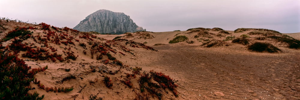 View of sand dunes and the Morro Rock Morro Bay San Luis Obispo County California USA Canvas Art - Panoramic Images (12 x 36)