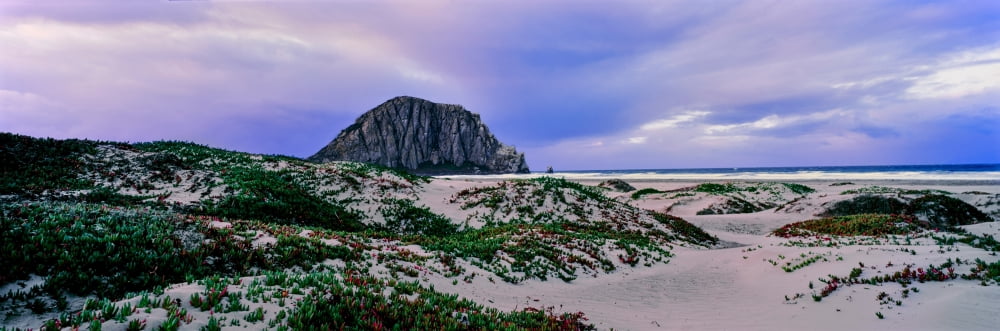 View of sand dunes and the Morro Rock Morro Bay San Luis Obispo County California USA Canvas Art - Panoramic Images (12 x 36)