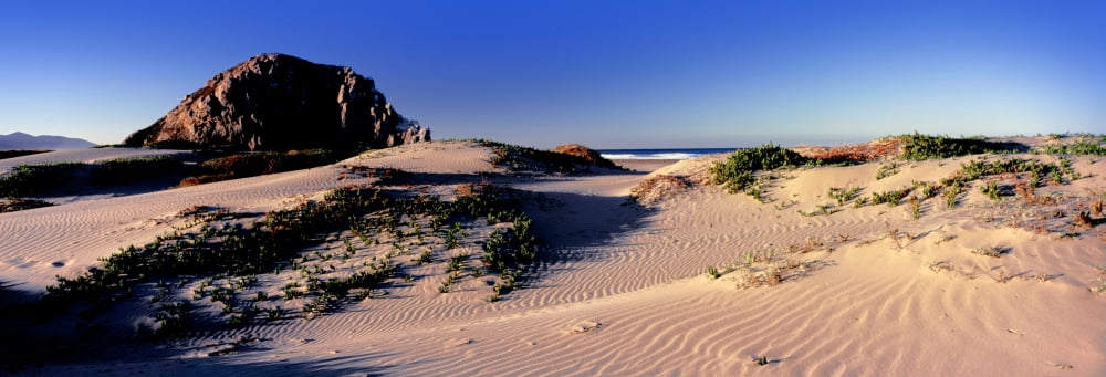 View of sand dunes and the Morro Rock Morro Bay San Luis Obispo County California USA Canvas Art - Panoramic Images (7 x 18)