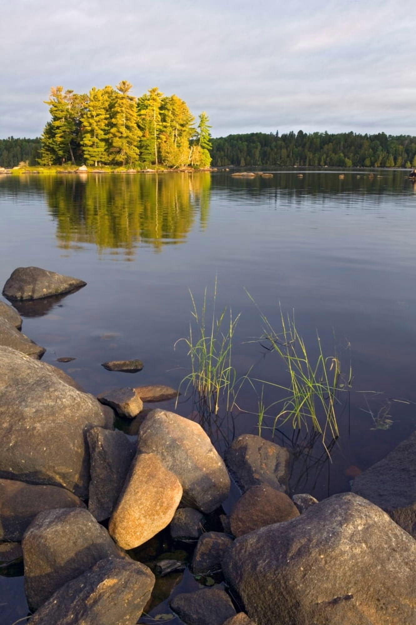 View of small island from rocky shore Lake Agnes Boundary Waters Canoe Area Wilderness Minnesota USA Canvas Art - Panoramic Images (36 x 12)