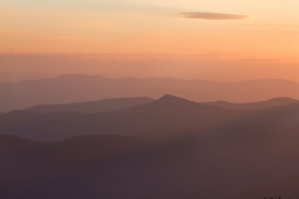 View of sunset at Clingmans Dome Great Smoky Mountains National Park Tennessee USA Canvas Art - Panoramic Images (18 x 24)