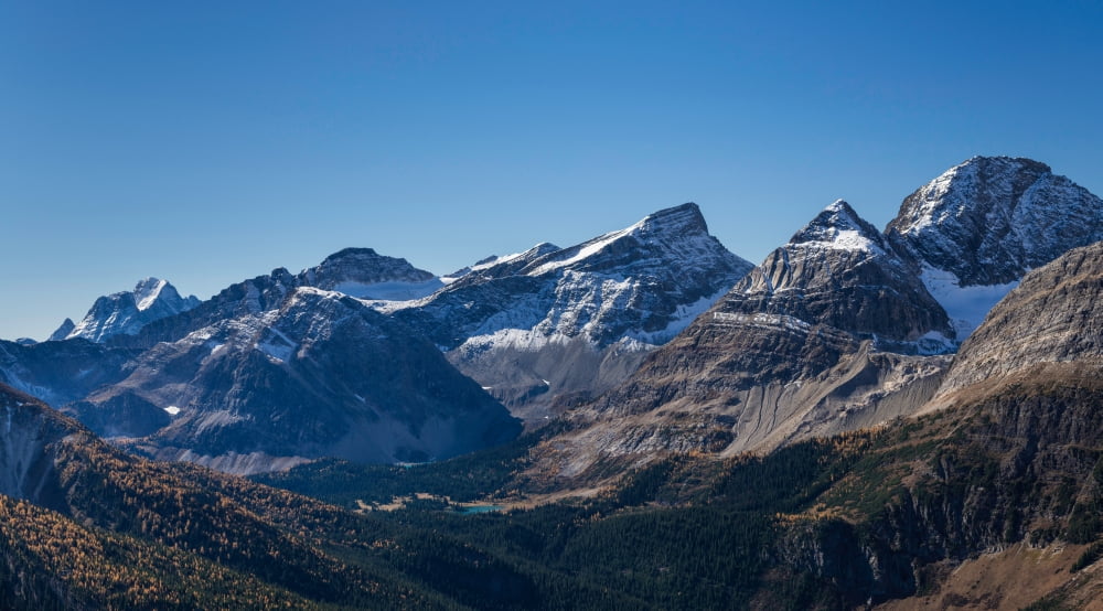 View of the Burstall Pass Mt Black Mt Cradock Palliser Valley Rocky Mountains Alberta Canada Canvas Art - Panoramic Images (14 x 24)