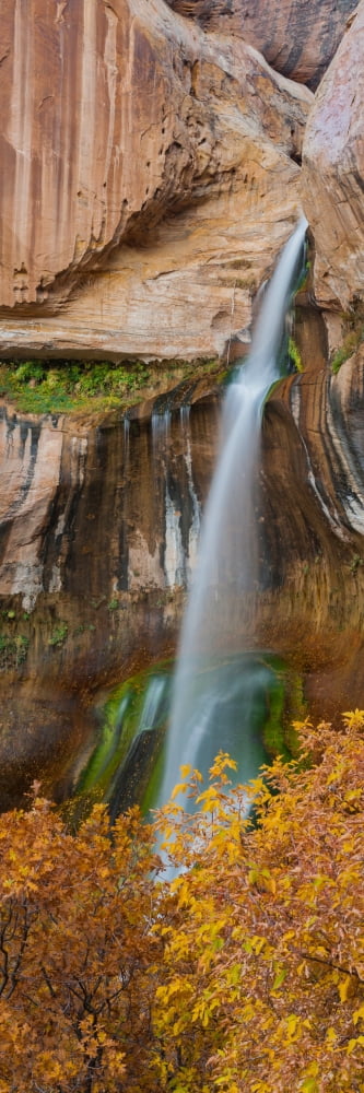 View of the Calf Creek Falls Grand Staircase-Escalante National Monument Utah USA Canvas Art - Panoramic Images (12 x 36)