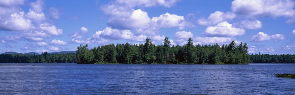 View of the Follensby Clear Pond New York State USA Canvas Art - Panoramic Images (12 x 36)