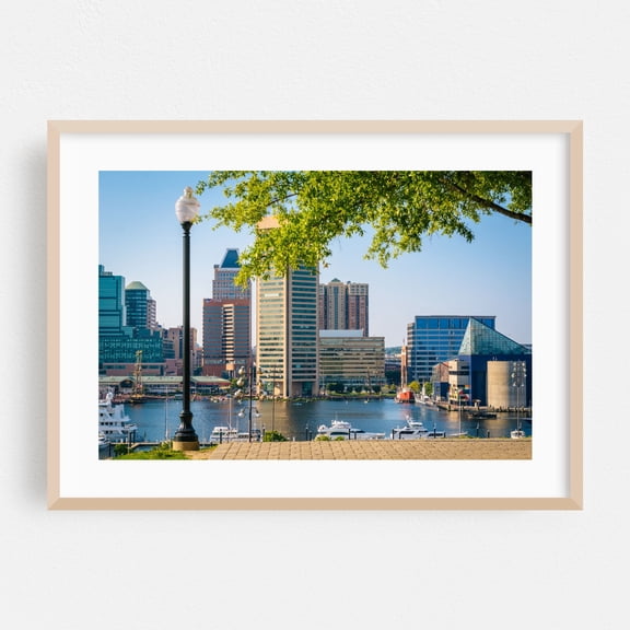 View of the Inner Harbor - Baltimore Maryland Photography Oak Framed Wall Art Print 24 x 36 inches