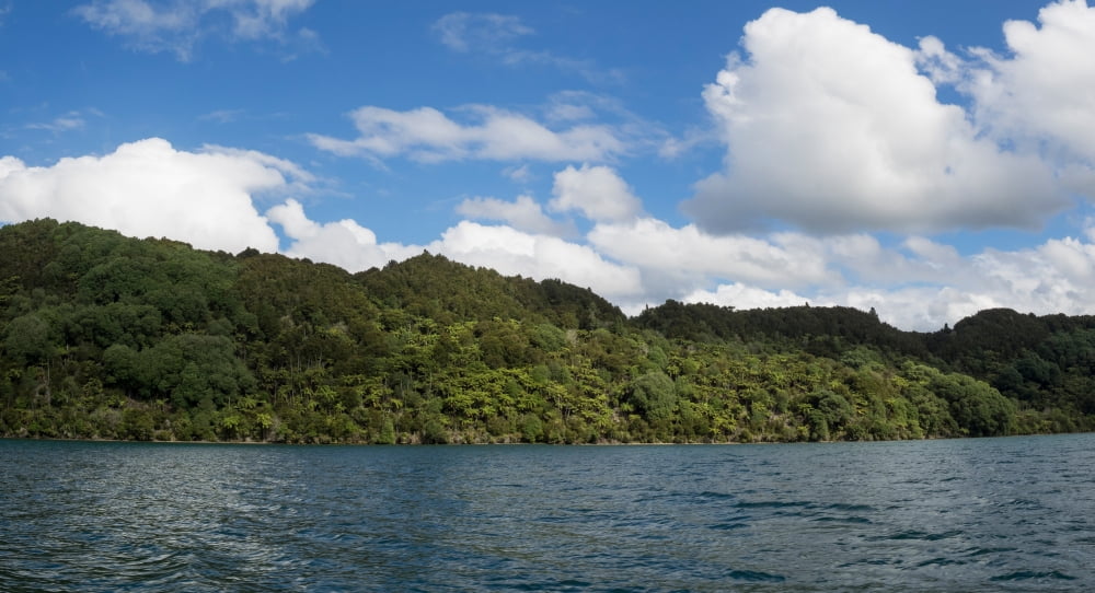 View of the Lake Tarawera Rotorua District Bay of Plenty North Island New Zealand Canvas Art - Panoramic Images (14 x 24)