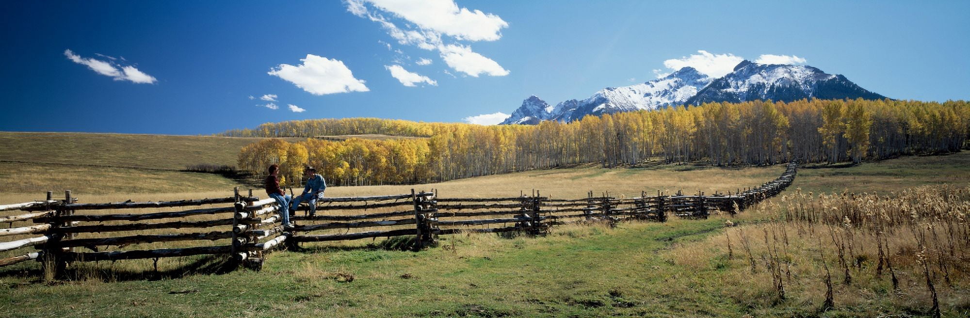 View of the Last Dollar Ranch Mount Sneffels Sneffels Range San Juan Mountains Ouray County Colorado USA Canvas Art - Panoramic Images (6 x 18)