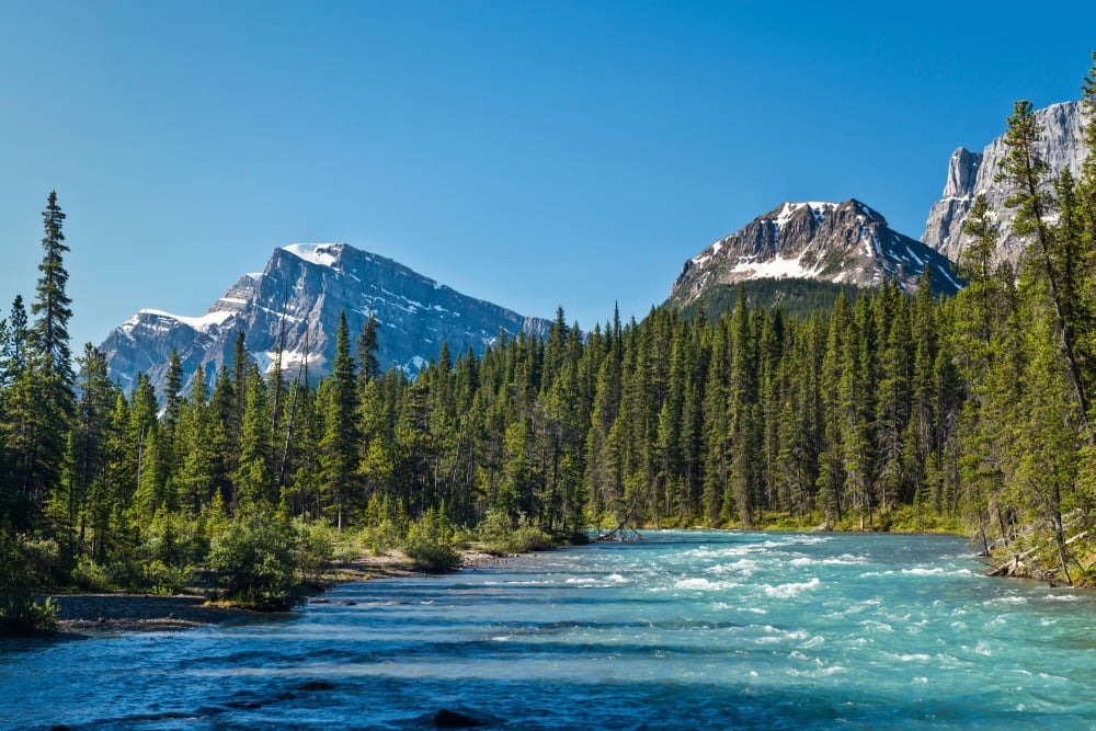 View of the Mistaya River Mount Patterson Waterfowl Lakes Alberta Canada Canvas Art - Panoramic Images (24 x 36)