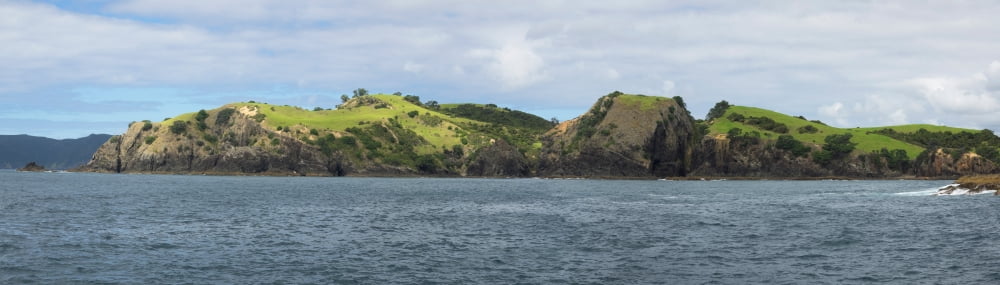 View of the Motukiekie Island Bay of Islands Northland Region North Island New Zealand Canvas Art - Panoramic Images (12 x 40)