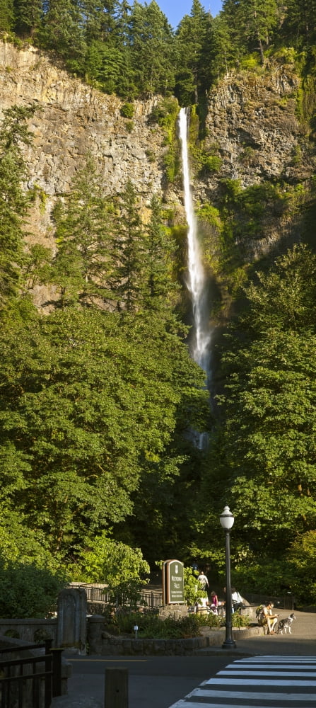 View of the Multnomah Falls Columbia River Gorge Multnomah County Oregon USA Canvas Art - Panoramic Images (36 x 12)