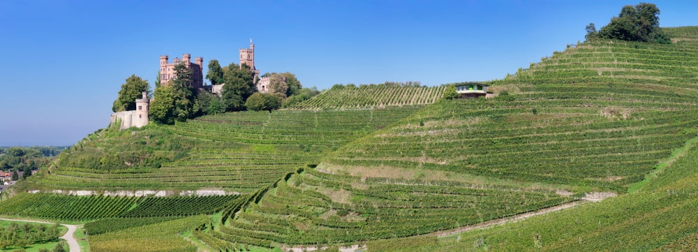 Offenberg View of the Ortenberg Castle, Offenburg, Black Forest, Baden ...