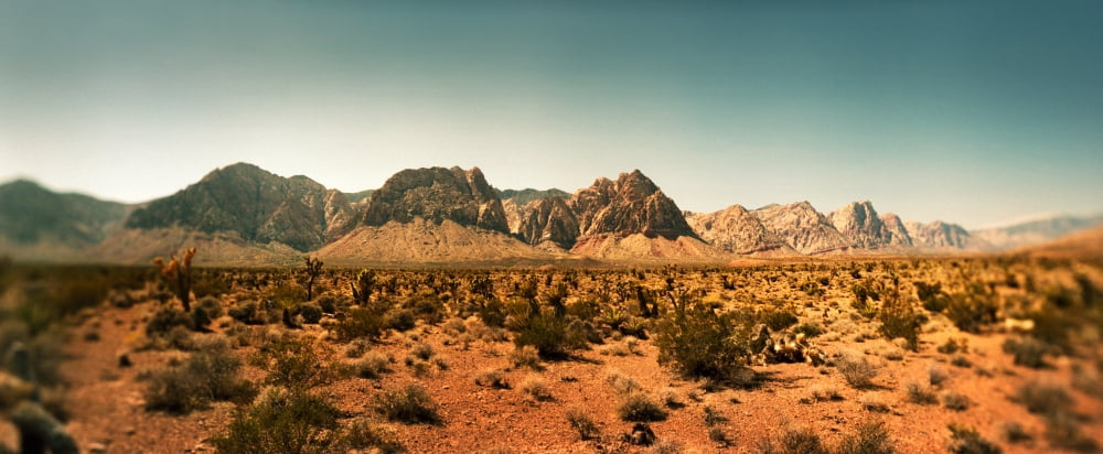 View of the Red Rock Canyon National Conservation Area near Las Vegas Clark County Nevada USA Canvas Art - Panoramic Images (13 x 30)