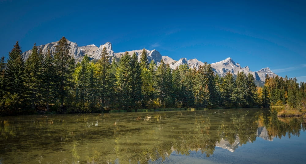 View of the Spring Creek Pond Mount Rundle Canmore Alberta Canada Canvas Art - Panoramic Images (12 x 24)