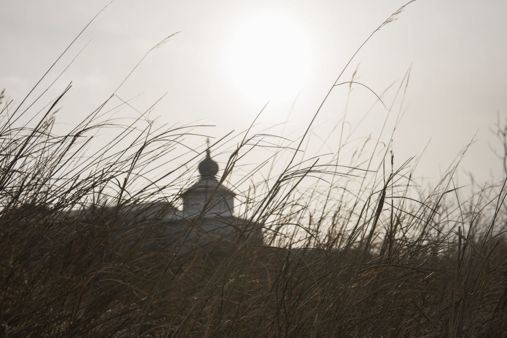 View of the St Nicholas Russian Orthodox Church through tall grasses in Igiugig Alaska Canvas Art - Carl Johnson Design Pics (38 x 24)