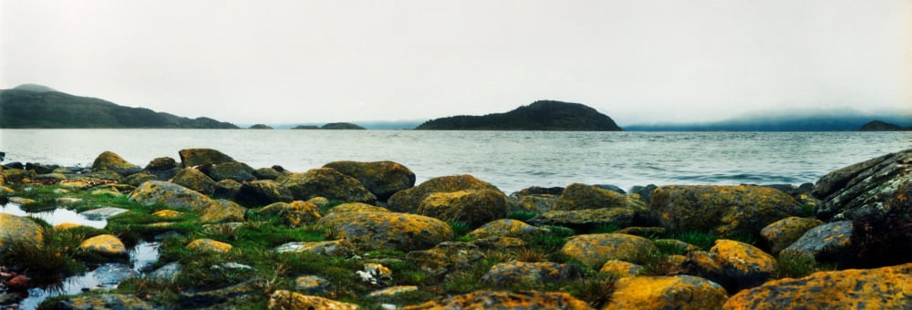 View of the coast at Tierra del Fuego National Park Ushuaia Tierra del Fuego Province Patagonia Argentina Canvas Art - Panoramic Images (13 x 36)