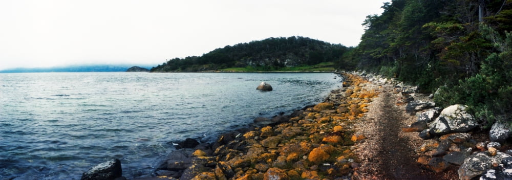 View of the coast at Tierra del Fuego National Park Ushuaia Tierra del Fuego Province Patagonia Argentina Canvas Art - Panoramic Images (7 x 18)