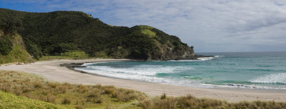 View of the coastal beach Tapotupotu Bay Cape Reinga Northland Region North Island New Zealand Canvas Art - Panoramic Images (12 x 30)