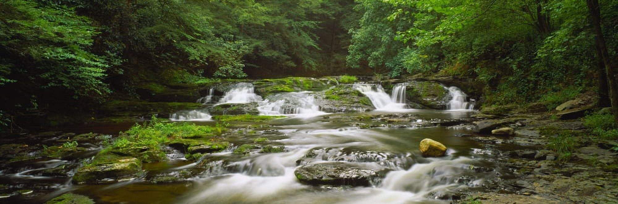 View of waterfalls in a river Dingmans Falls Delaware Water Gap National Recreation Area Pennsylvania USA Canvas Art - Panoramic Images (12 x 36)